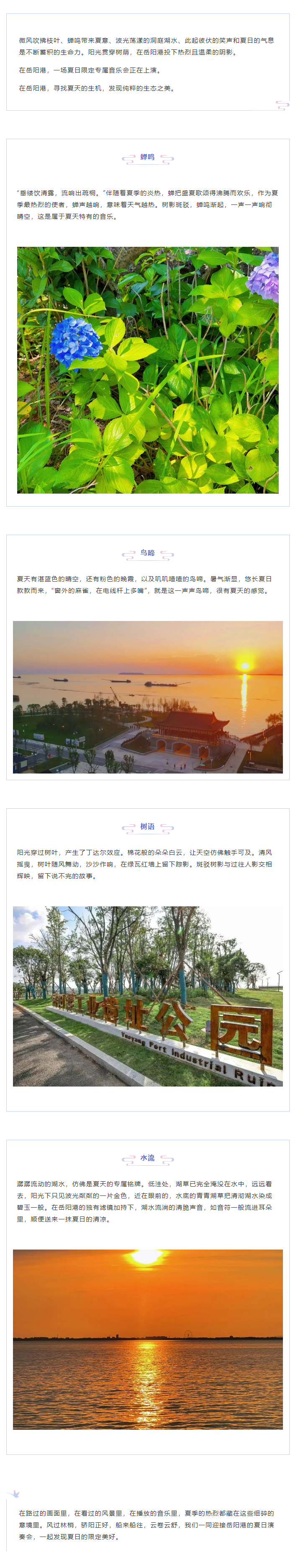 【夏日演奏會(huì)】在岳陽港，聆聽夏天的聲音.png